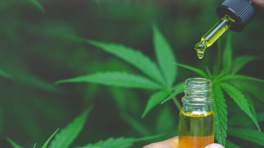 CBD Oil For Weight Loss