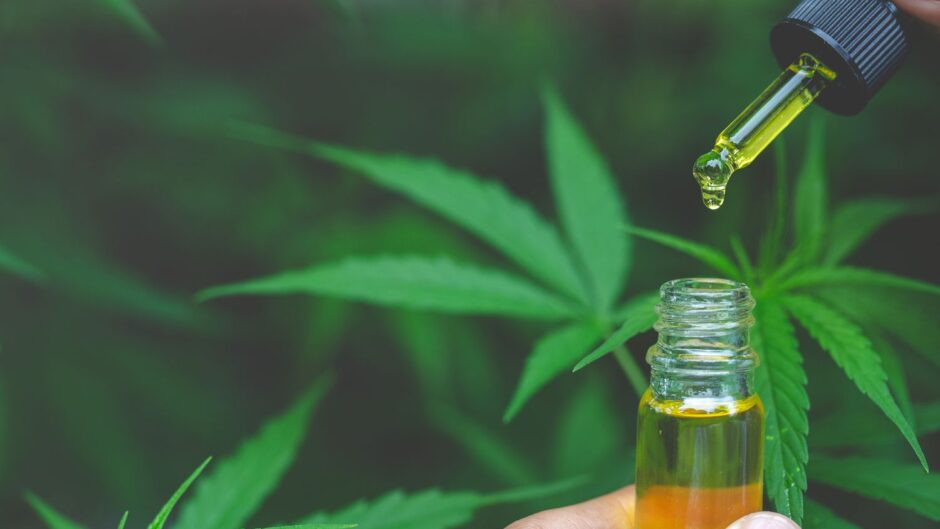 CBD Oil For Weight Loss