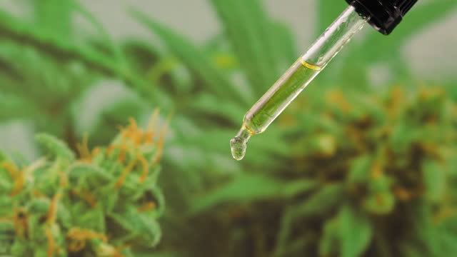 Potential Benefits of CBD Oil for Menopause Symptoms