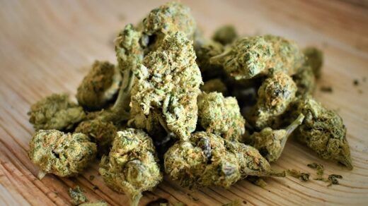 Cannabis Strains for Canadian
