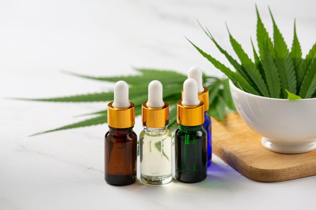 What is the Endocannabinoid System