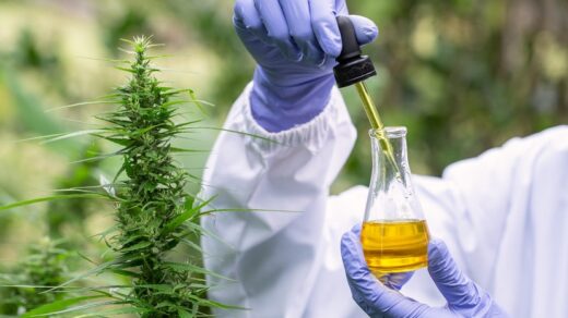 CBD vs. THC: What’s the Difference and Which is Right for You?