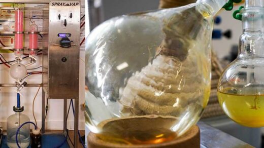 CBD Extraction