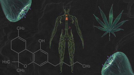 CBD Oil and Drug Interactions
